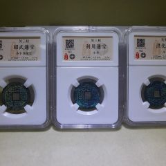 吴三桂昭武、利用、洪化钱币一套